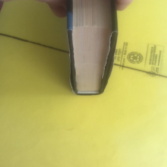 Book William and Harry behind the palace walls by Katie Nicholl - Picture 3 of 5